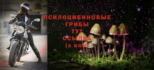 2c-b Магадан