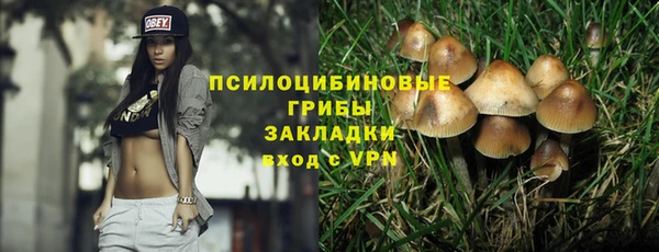 2c-b Магадан