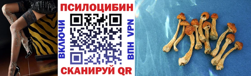 Галлюциногенные грибы Psilocybine cubensis  купить   Городище 